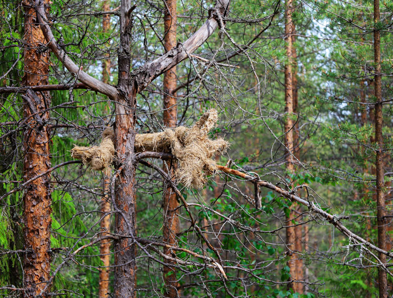 Jose Salo: Syntipukin sunnuntai