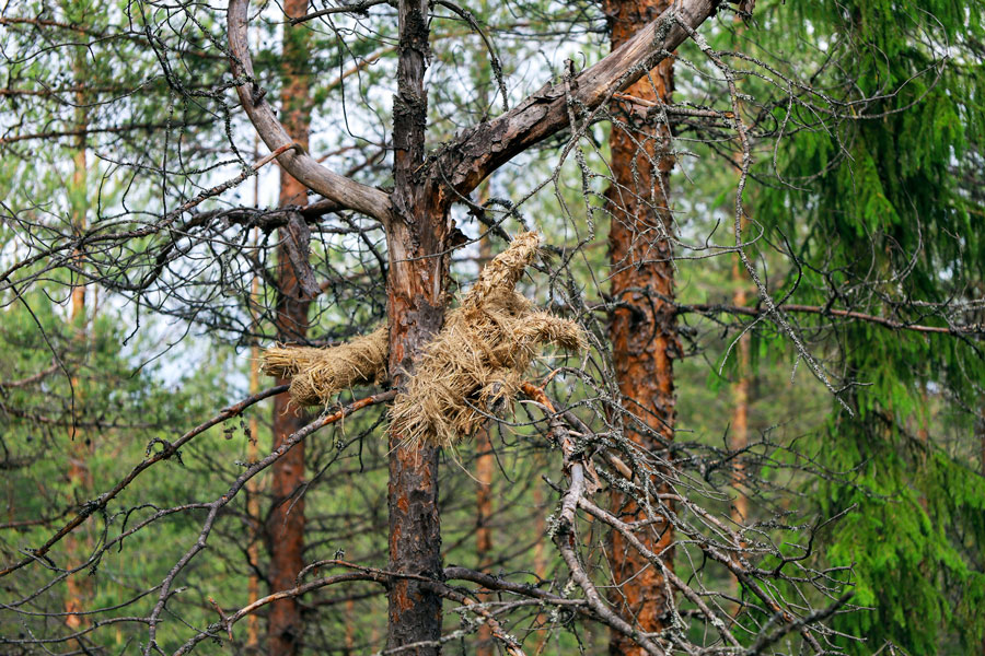 Jose Salo: Syntipukin sunnuntai