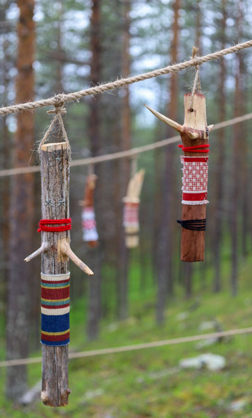 Satu Kalliokuusi: Metsänpuolustaja
