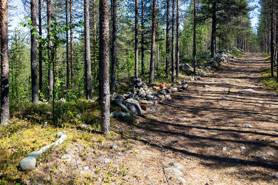 Sauli Miettunen: Suolitukos