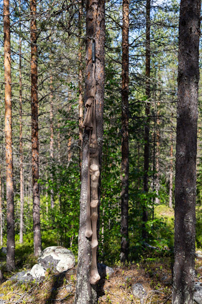 Sauli Miettunen: Suolitukos