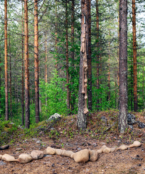 Sauli Miettunen: Suolitukos