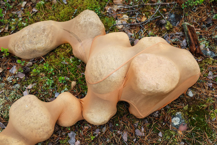 Sauli Miettunen: Suolitukos